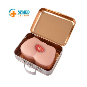 Pelvic Examination Training Torso Manikin with Realistic Vagina & Cervix for Medical Science Nurse Training