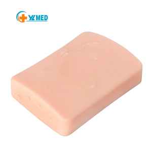 Ultrasound-Guided Vascular Puncture Simulator Anatomical Model Manikin Medical Student Practice Plastic TPR Silicone PVC