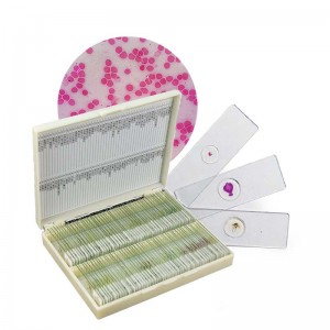 Affordable 100pcs advanced zoology prepared microscope slides