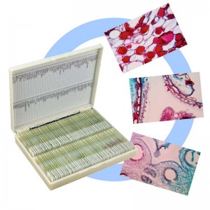 Affordable 100pcs advanced zoology prepared microscope slides