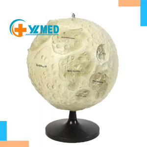 Geography Teaching Home Craft Decoration Teaching Model of Lunar Structure Geographical Model of Lunar Surface Structure