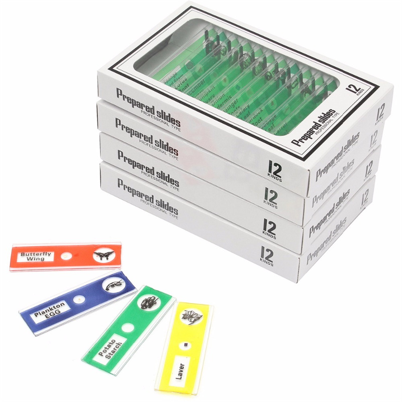 12pcs/saitin Filastik da aka Shirya Microscope Slides Dabbobin Tsirrai Tsirrai Furanni Samfurin Maɓallin Ƙwararren Ƙwararren Ƙwararren Ƙwararren Ƙwararren Ƙwararren Ƙwararren Ƙwararren Ƙwararren Ƙwararren Ƙwaƙwalwa