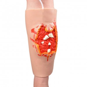 First Aid Tools Emergency Practice Trauma Model Medical Science Wearable Blast Wound Sleeve Rupture Wound Model
