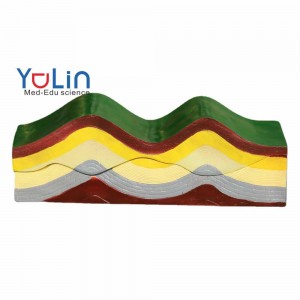 Educational Equipment Model of Changes in the Earth’s Crust Fold Structure School Geology Class Geography Teaching Aids Learning