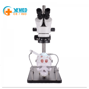 Microsurgical Simulation Trainer Extra-divine Extracerebral Microsurgical Training Microscope Vascular Anastomosis