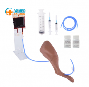 Veterinary Dog Injection Practice Canine Leg Injection Trainer for IM&IV Injections Medical Saphenous Vein Blood Collection