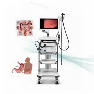 High Definition Images Video Gastroscope / Colonoscope System with Trolley and Monitor