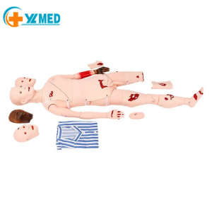 Advanced Full-Featured Trauma Care Bandaging Training Model Simulated Wound First Aid Trauma ສໍາລັບການຝຶກອົບຮົມດ້ານການສຶກສາທາງການແພດ