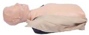 Simple type half body CPR Manikin