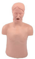 Advanced Adult Airway Infarction and CPR Manikin