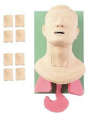 Advanced Airway Management model