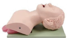 Pokročilý model tréninku tracheální intubace u člověka