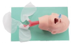 Advanced pediatric tracheal intubation model