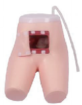 Advanced Enema and Assisted Defecation Training Model