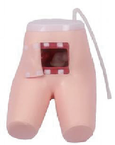 Provectus Enema et adiutus Defecation Training Model