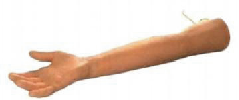 Model roke za vadbo venepunkcije za starejše