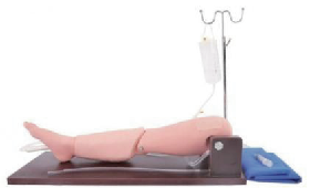 Bone puncture and femoral vein puncture model