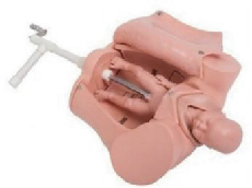 Hand-operated birthing machine rotating model