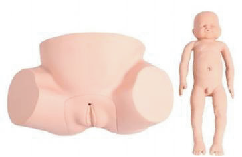 Advanced midwifery training model