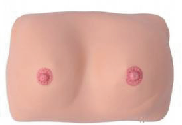 Yepamusoro Breast Examination Model