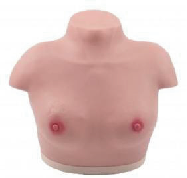 Advanced breast visualization and palpation model