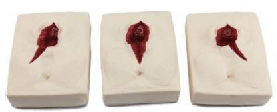 Modelo de práctica de sutura vulvar