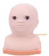 Advanced Infant Head Integrated Venipuncture Model