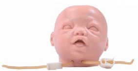 Modello di addestramento alla venipuntura della testa del neonato