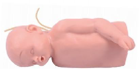 Infant head and arm intravenous training model