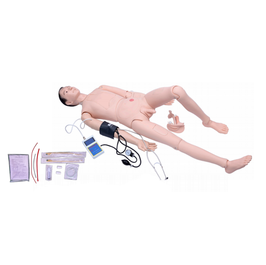 Advanced arm combination caregiver training model with blood pressure measurement (male)