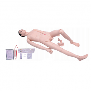 New advanced combination caregiver training model (Male)