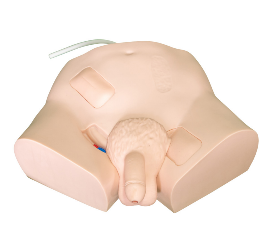 Teaching Model of Ordinary Male Urethral Catheterization