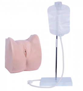 Simplex femina exemplar catheterizationem