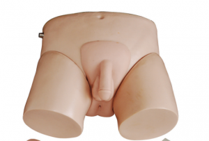 Electronic Urethral Catheterization uye Enema Model