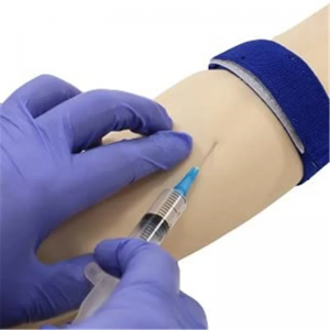 Medical science A venipuncture exercise arm designed for medical training and perfecting venipuncture