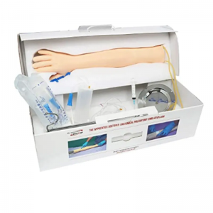 Medical science A venipuncture exercise arm designed for medical training and perfecting venipuncture