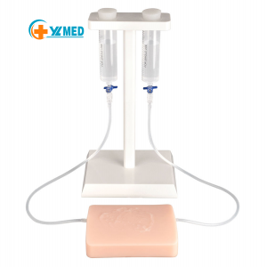Ultrasound-Guided Vascular Puncture Simulator Anatomical Model Manikin Medical Student Practice Plastic TPR Silicone PVC