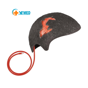 Wound Packing Head Training Kit Wearable Bleeding Control Training for Medical Students Wound Training and Medical Classes