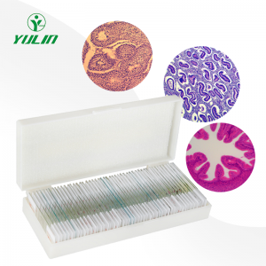 Affordable 100pcs advanced zoology prepared microscope slides