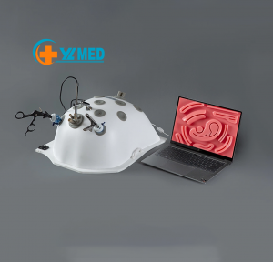 Bionic Type Laparoscopic Single Hole Gynecological Surgery Simulation Training Surgical Box Anatomical Model