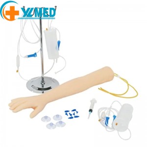 Medical science A venipuncture exercise arm designed for medical training and perfecting venipuncture