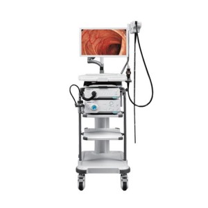 High Definition Images Video Gastroscope / Colonoscope System with Trolley and Monitor