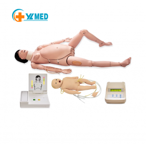 Maternal Infant First Aid Emergency Nursing Pregnant Women Intrapartum Delivery Process Gynecological Training Simulator Model