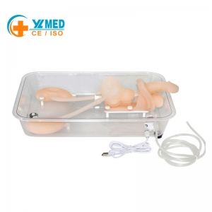 Ureteroscopy Simulation Training Model – Urinary Tract Endoscopy Practice Tool for Medical Education