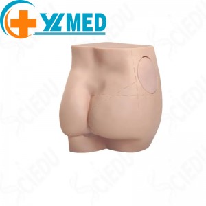 Sayansi ya Zamankhwala Buttocks Hip Intramuscular Injection Simulator Training Model pophunzitsa namwino