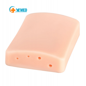 Ultrasound-Guided Vascular Puncture Simulator Anatomical Model Manikin Medical Student Practice Plastic TPR Silicone PVC