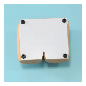 Medical science hot sell model nursing used Advanced acne care model bedsore process Care model