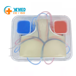 Ultrasound-guided Central Venipuncture Training Model Can Be Used for Internal Jugular Venipuncture and Subclavian Venipuncture