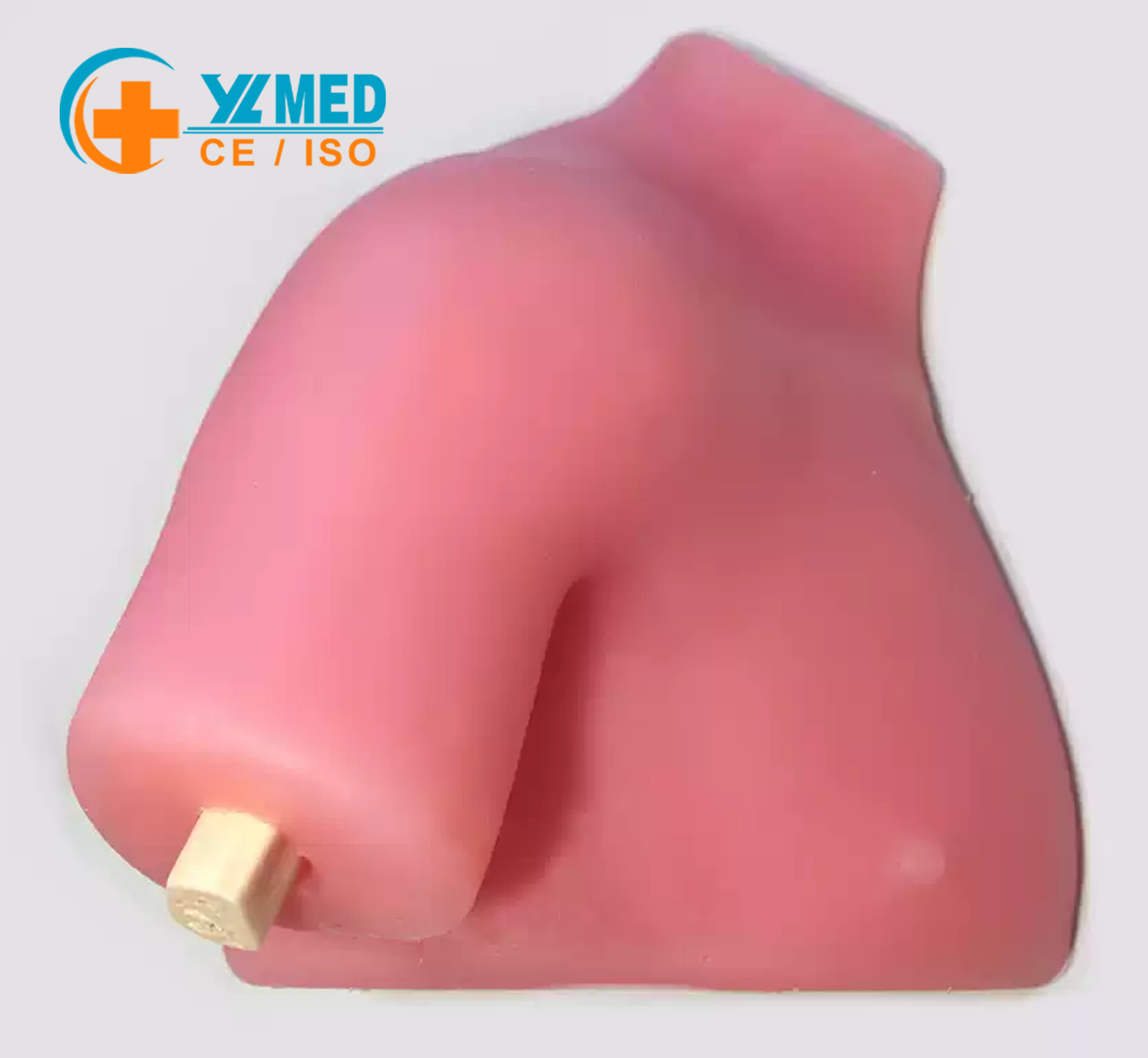 Medical Shoulder Joint Arthroscopy Practice Phantom, Soft Tissue Simulation Model for Arthroscopic Surgical Skill Training