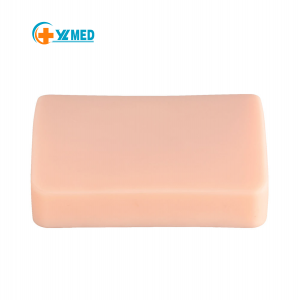 Ultrasound-Guided Vascular Puncture Simulator Anatomical Model Manikin Medical Student Practice Plastic TPR Silicone PVC